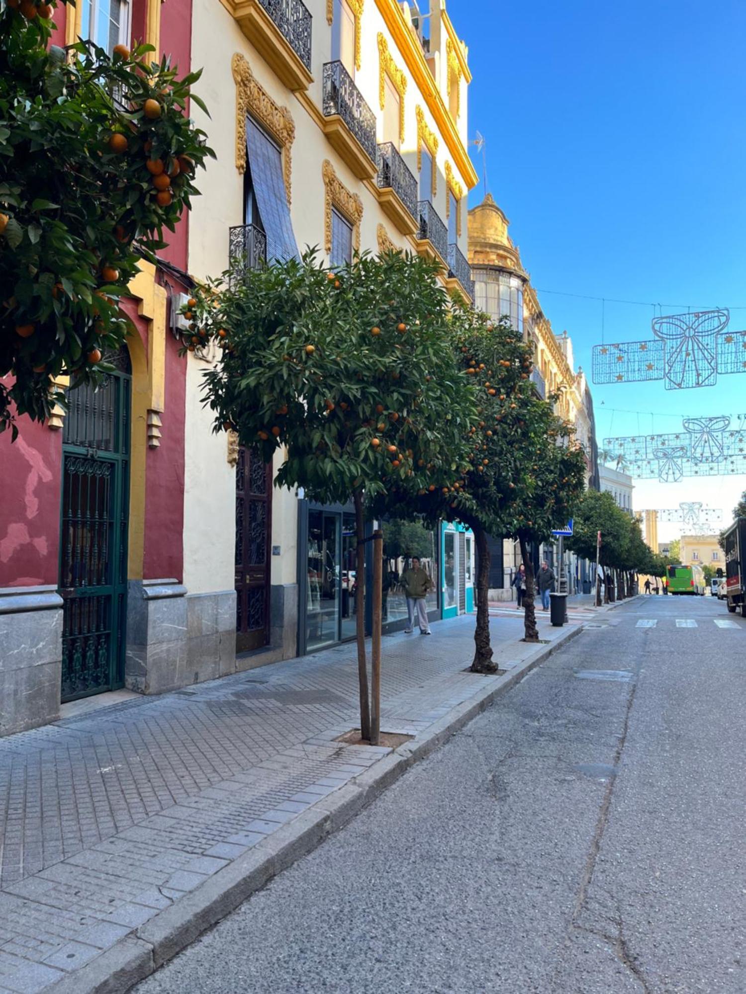 Centro- Apartamento Azonaicas コルドバ エクステリア 写真